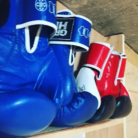 Haus Waldruhe Pensjonat Mallnitz