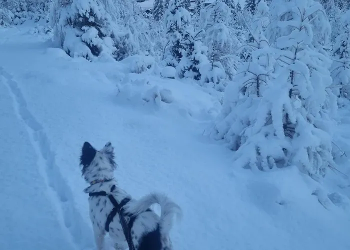 Affittacamere Haus Waldruhe 3*